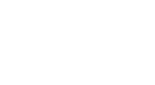 EURO CLEAR SERVICES